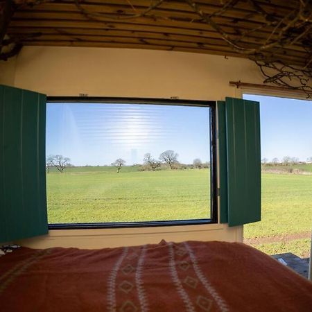 فيلا 'Pipistrelle' Remote Off-Grid Micro Cabin سيدج فيلد المظهر الخارجي الصورة