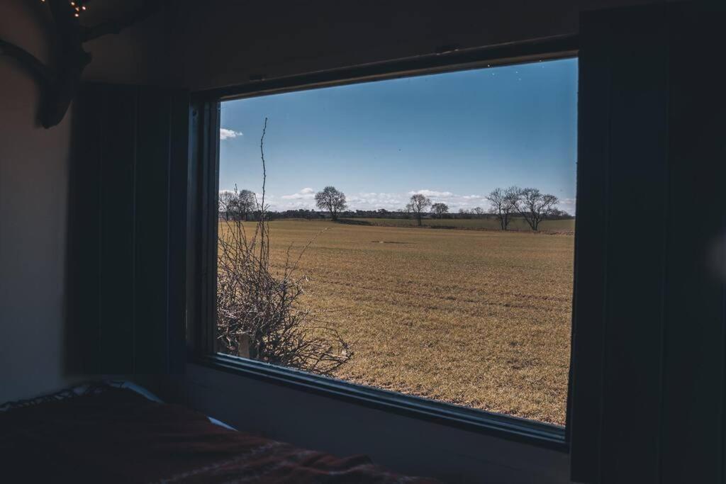 فيلا 'Pipistrelle' Remote Off-Grid Micro Cabin سيدج فيلد المظهر الخارجي الصورة