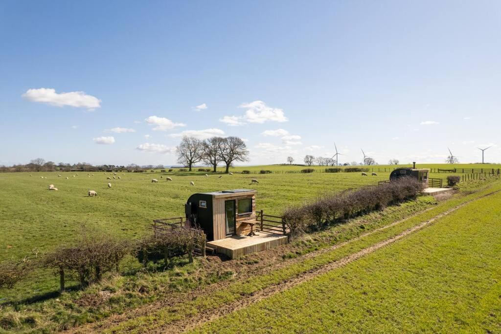 فيلا 'Pipistrelle' Remote Off-Grid Micro Cabin سيدج فيلد المظهر الخارجي الصورة