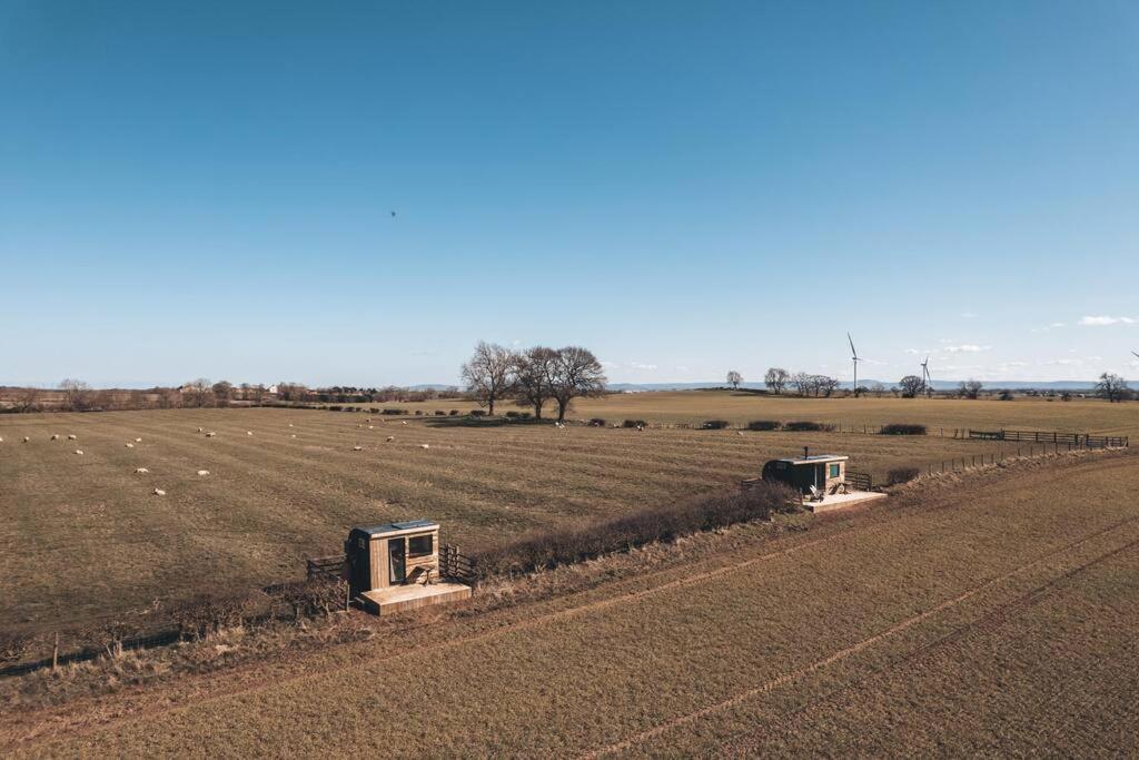 فيلا 'Pipistrelle' Remote Off-Grid Micro Cabin سيدج فيلد المظهر الخارجي الصورة